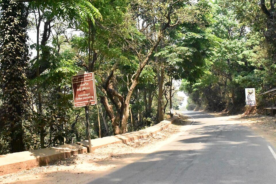 A road through coffee plantations in the Araku valley, on the Andhra Pradesh: Araku valley, Lambasingi and Gandikota route