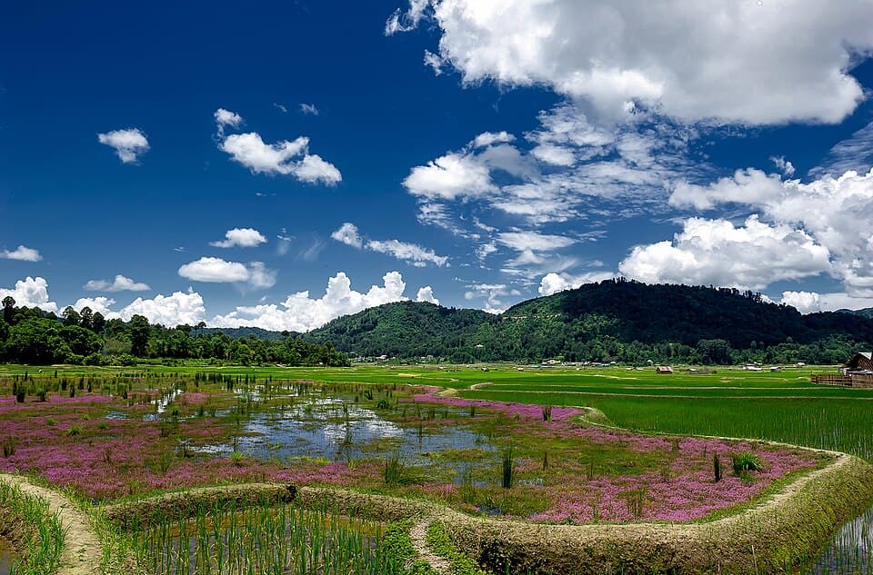 The Ziro valley in summer, on the Arunachal: Ziro, Mechuka, Anini and Walong route