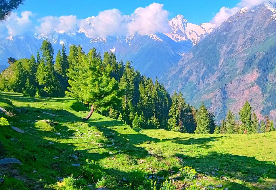 A pasture in the Pangi valley, on the Sach Pass and Pangi valley route